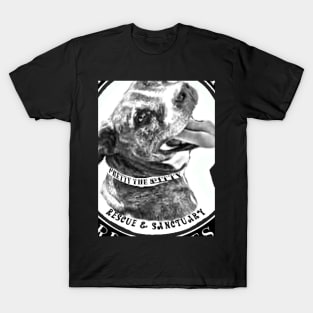 pretty the pitty T-Shirt